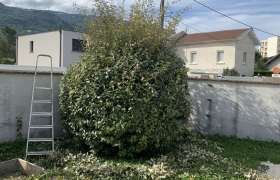 Élagage