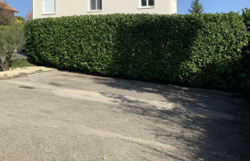 Taille d'une haie