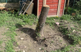Désouchage